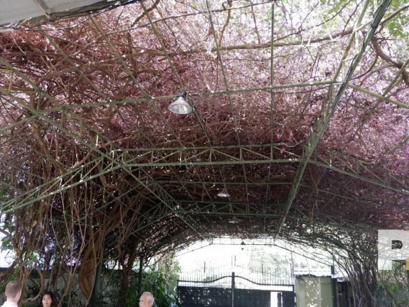 front yard - Real Estate in Myanmar