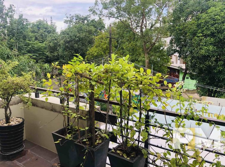 balcony with outdoor plants - Rent in Myanmar