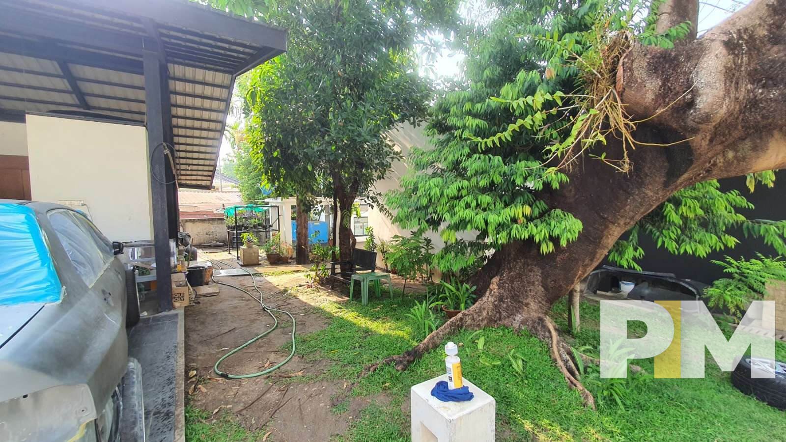 garden - Yangon Property