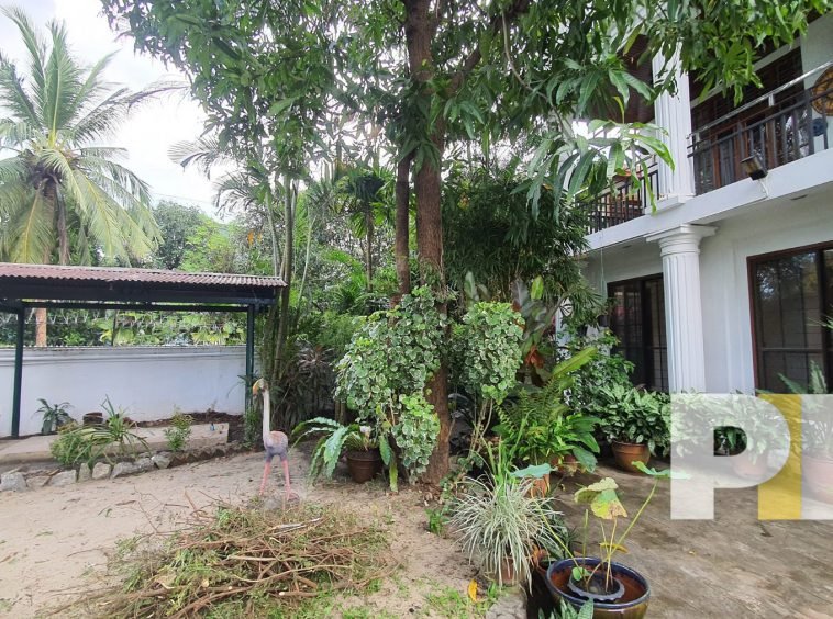 outdoor space with plants - Home Rental Yangon