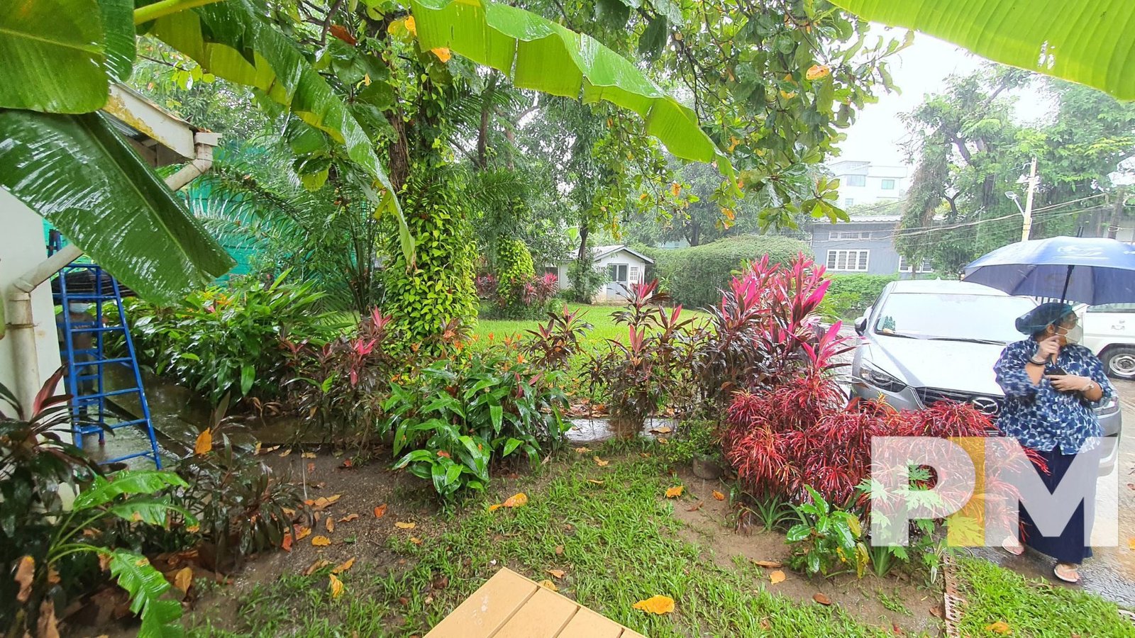 outdoor space with plants - Rent in Yangon