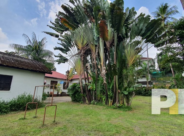 outdoor space with trees - Home Rental Yangon