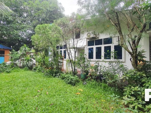 Backyard view-Property in Yangon