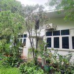 Backyard view of office - Property in Yangon
