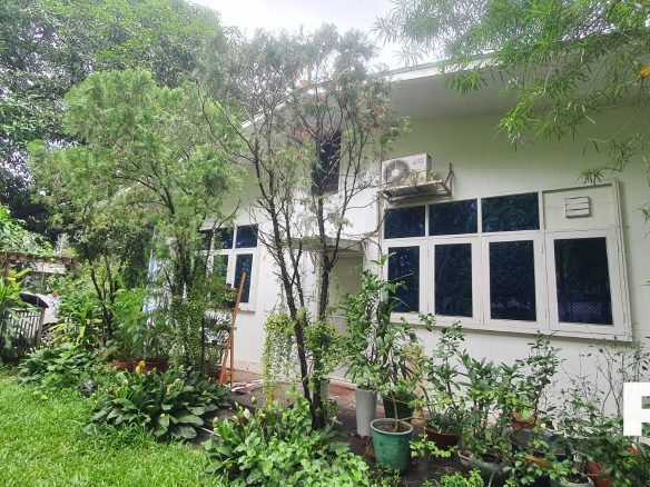Backyard view of office - Property in Yangon