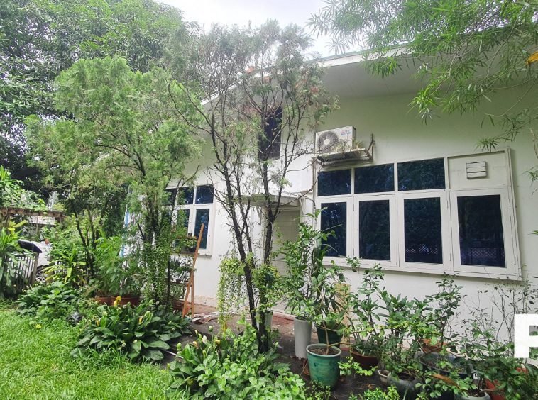 Backyard view of office - Property in Yangon