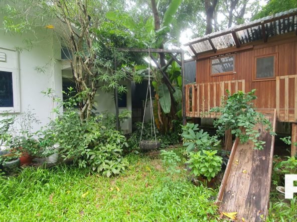 Backyard view of office- Real Estate in Myanmar