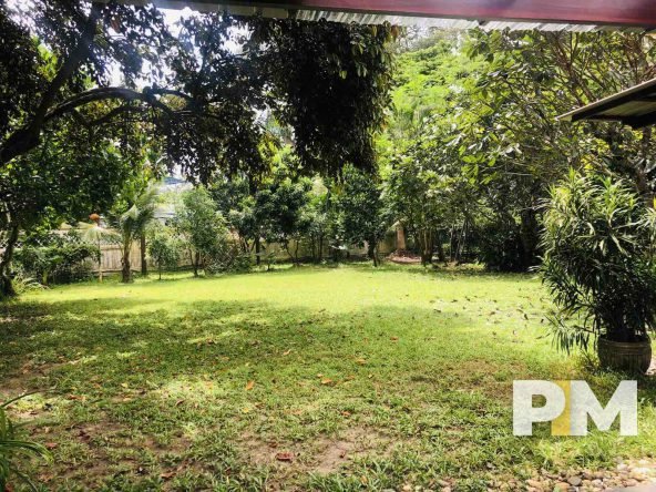 garden - Rent in Yangon