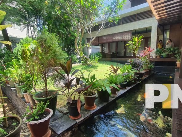 Fish pond - Myanmar Real Estate