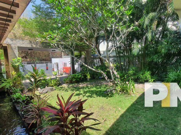 Garden view - Real Estate in Yangon