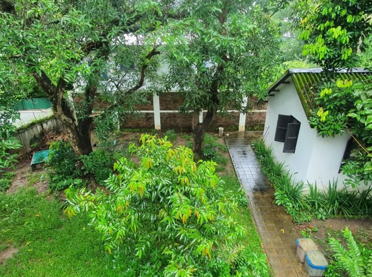 Garden - myanmar real estate