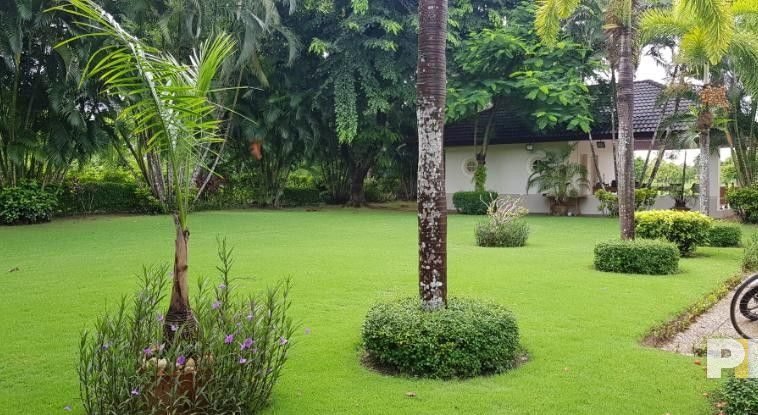 House garden view - Real Estate in Yangon