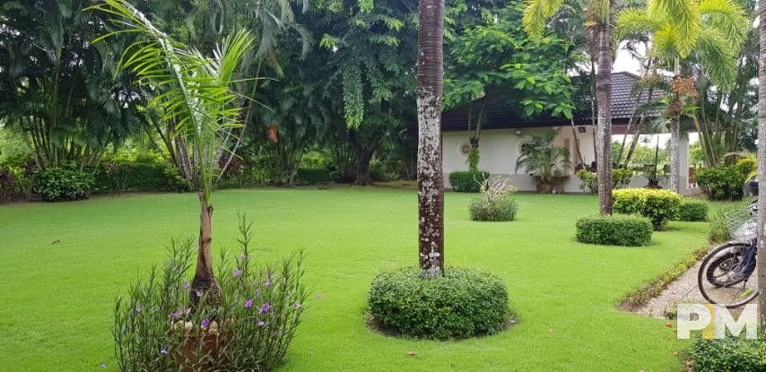 House garden view - Real Estate in Yangon
